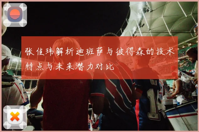 张佳玮解析迪班萨与彼得森的技术特点与未来潜力对比