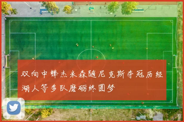 双向中锋杰米森随尼克斯夺冠历经湖人等多队磨砺终圆梦